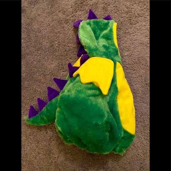 Dragon Costume - Picture 1 of 3